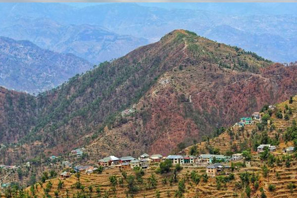 Dharmashala1