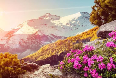 Splendid Hills Tour