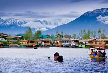 Kashmir Delight
