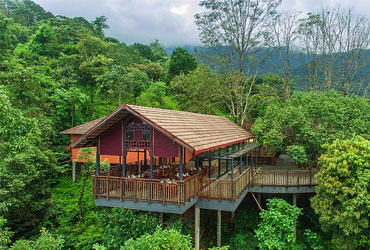 Wayanad Nature Retreat